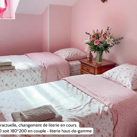 La Rose Du Chateau Konukevi Lourdes