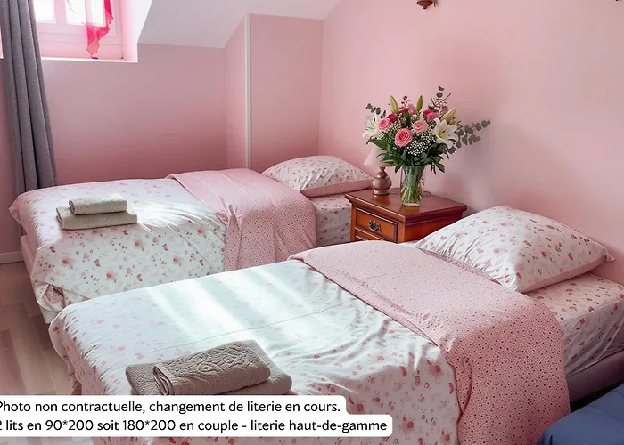 La Rose Du Chateau Pensjonat Lourdes